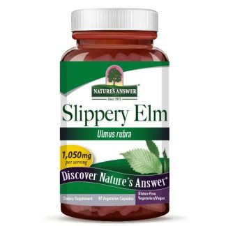 Nature's Answer, Slippery Elm Bark, 350mg, 90 capsules