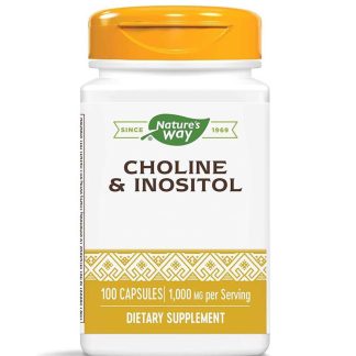 Nature's Way, Choline & Inositol, 250mg 100 Kapseln